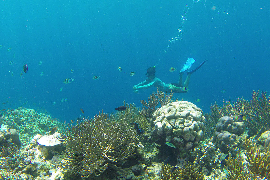 snorkeling2.jpg